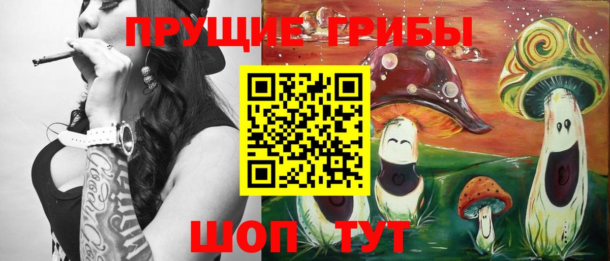 Галлюциногенные грибы Psilocybe Дюртюли