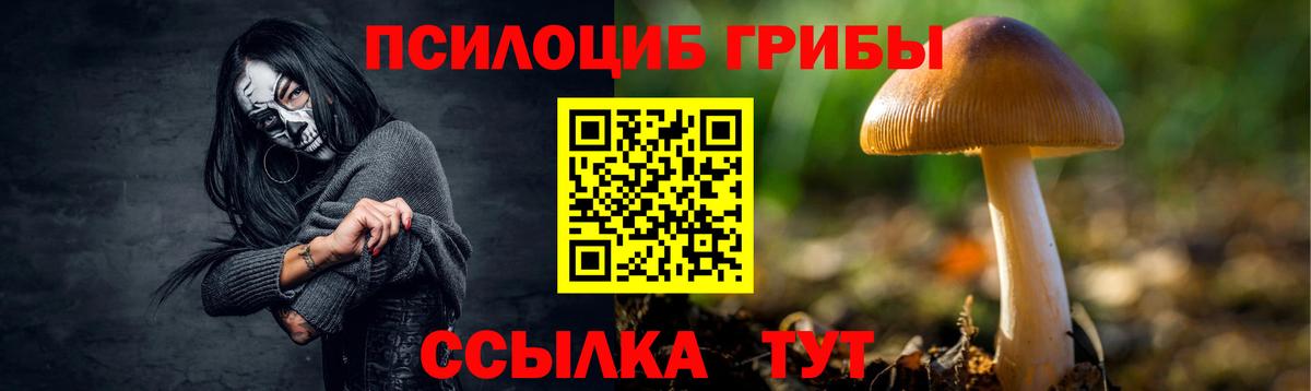 Псилоцибиновые грибы мицелий  Галлюциногенные грибы Psilocybe  Дюртюли 