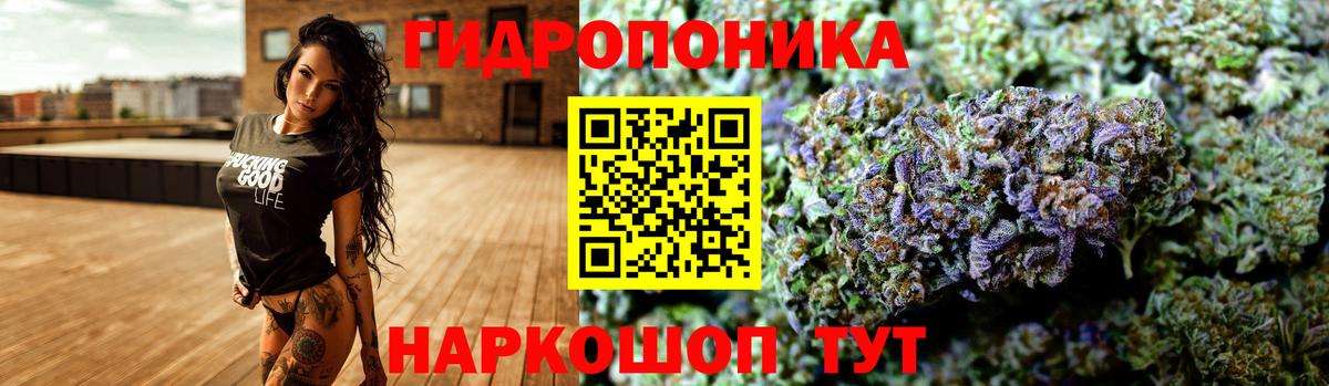 Бошки марихуана OG Kush Дюртюли